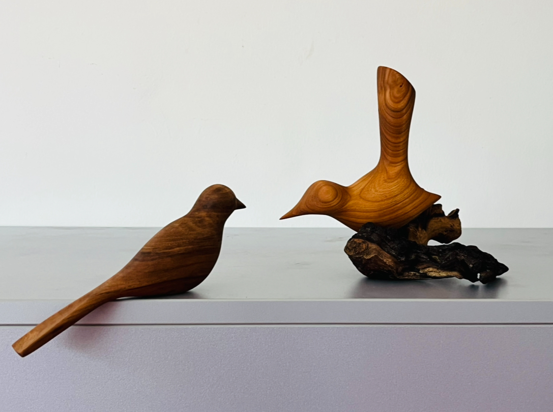 Pintér Gábor madár