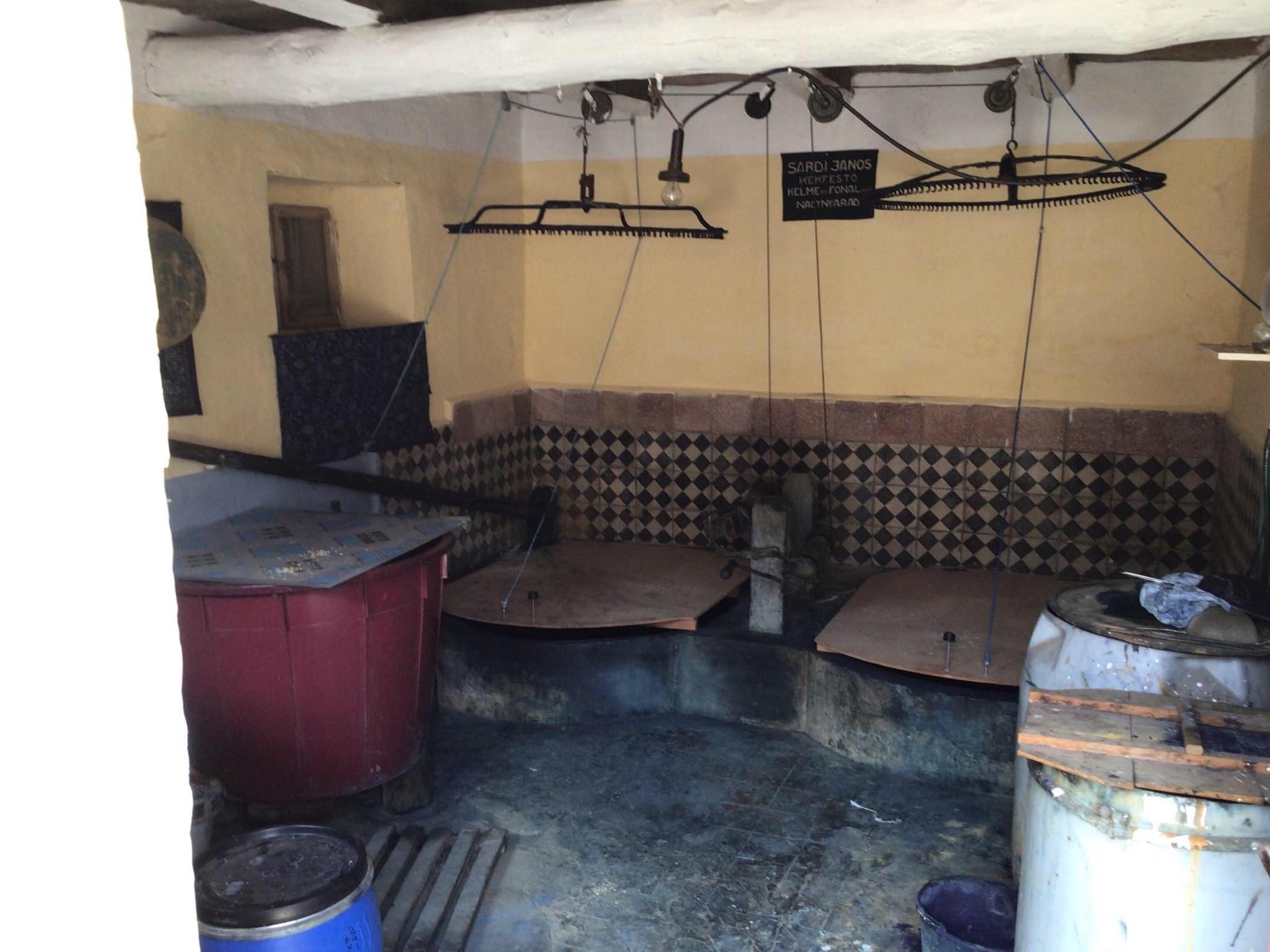 326096461 2008445462855765 1944451096071719635 n