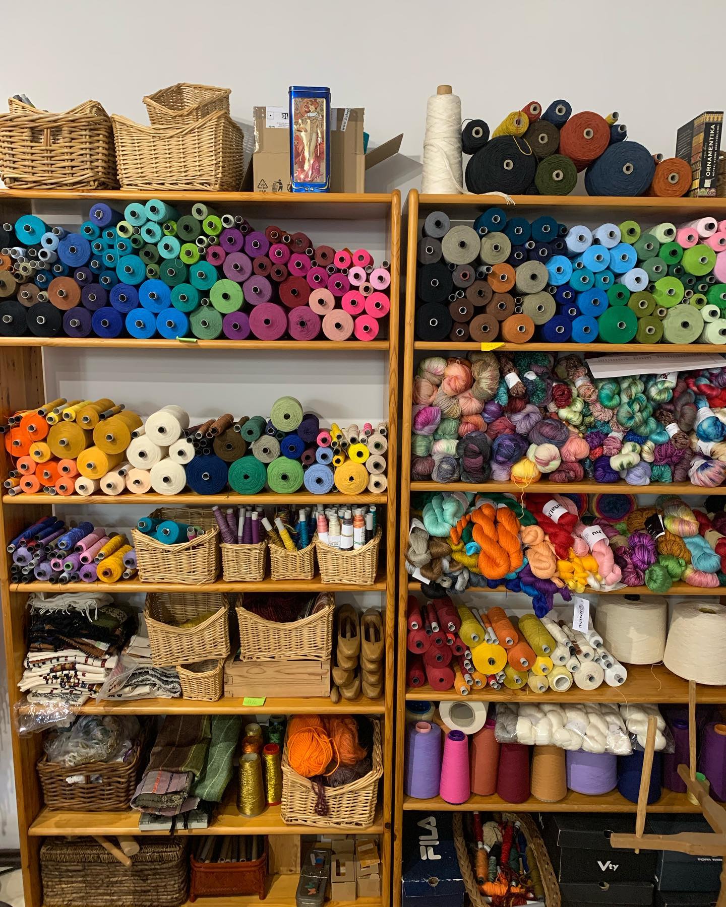 247594551 4513768195327985 2619656193406818250 n